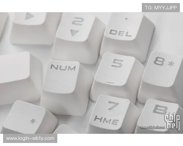 全面解析mk体育在线的特色功能与用户体验提升策略